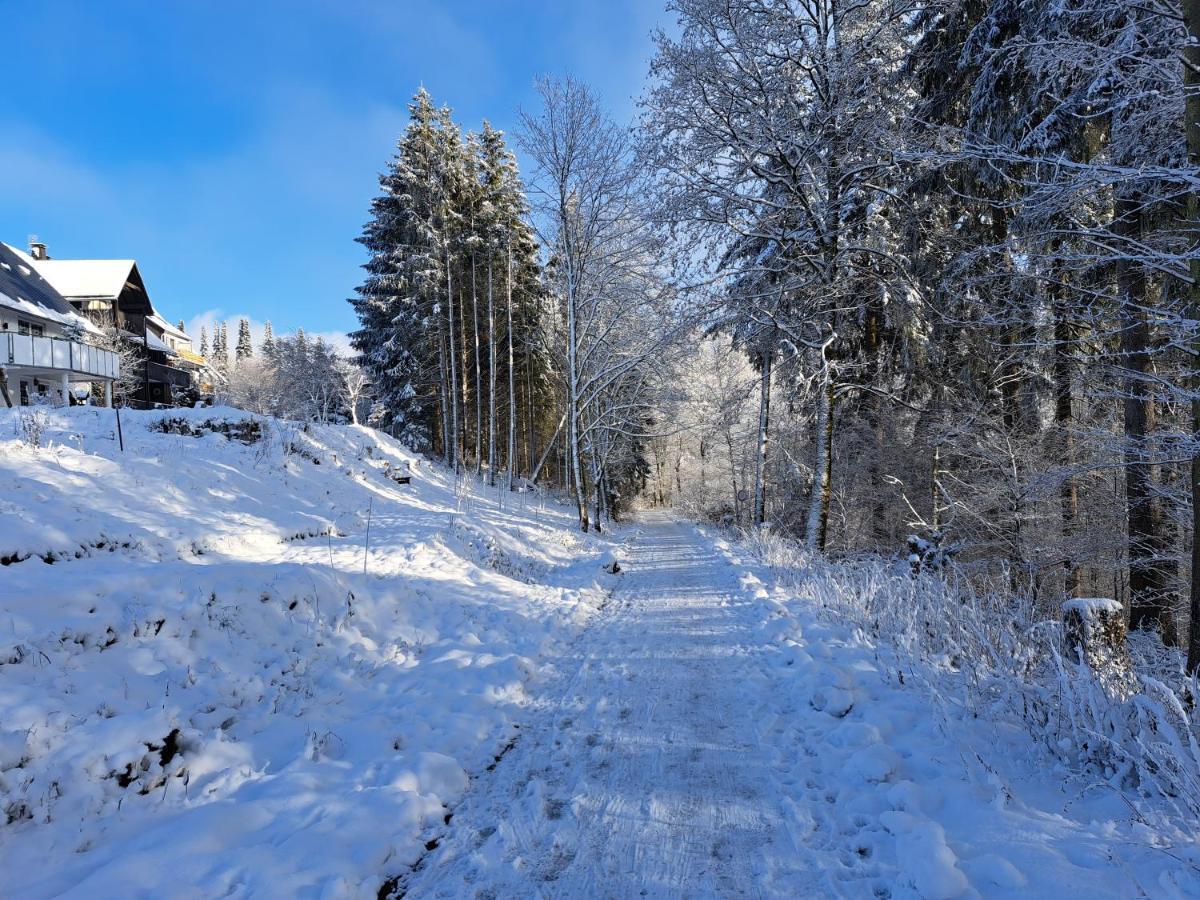 מדבאך Great Apartment Winterberg Woods מראה חיצוני תמונה